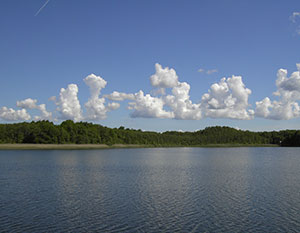 Die Brandenburgische Seenplatte mit blauem Himmel, weißen Kumuluswolken und grünem Wäldern.