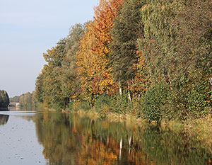 Herbst in Brandenburg, Ufer mit buntem Laub